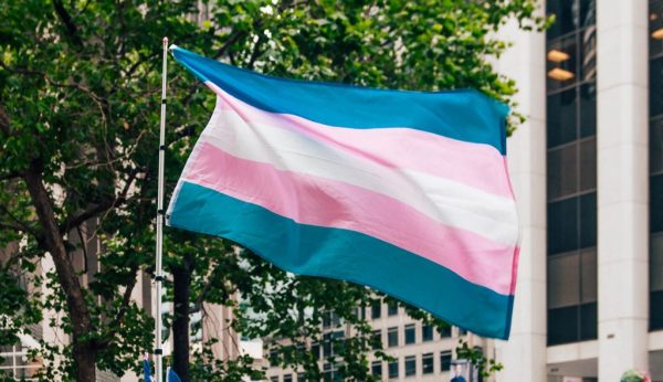 Women’s rights are not the same as transgender rights