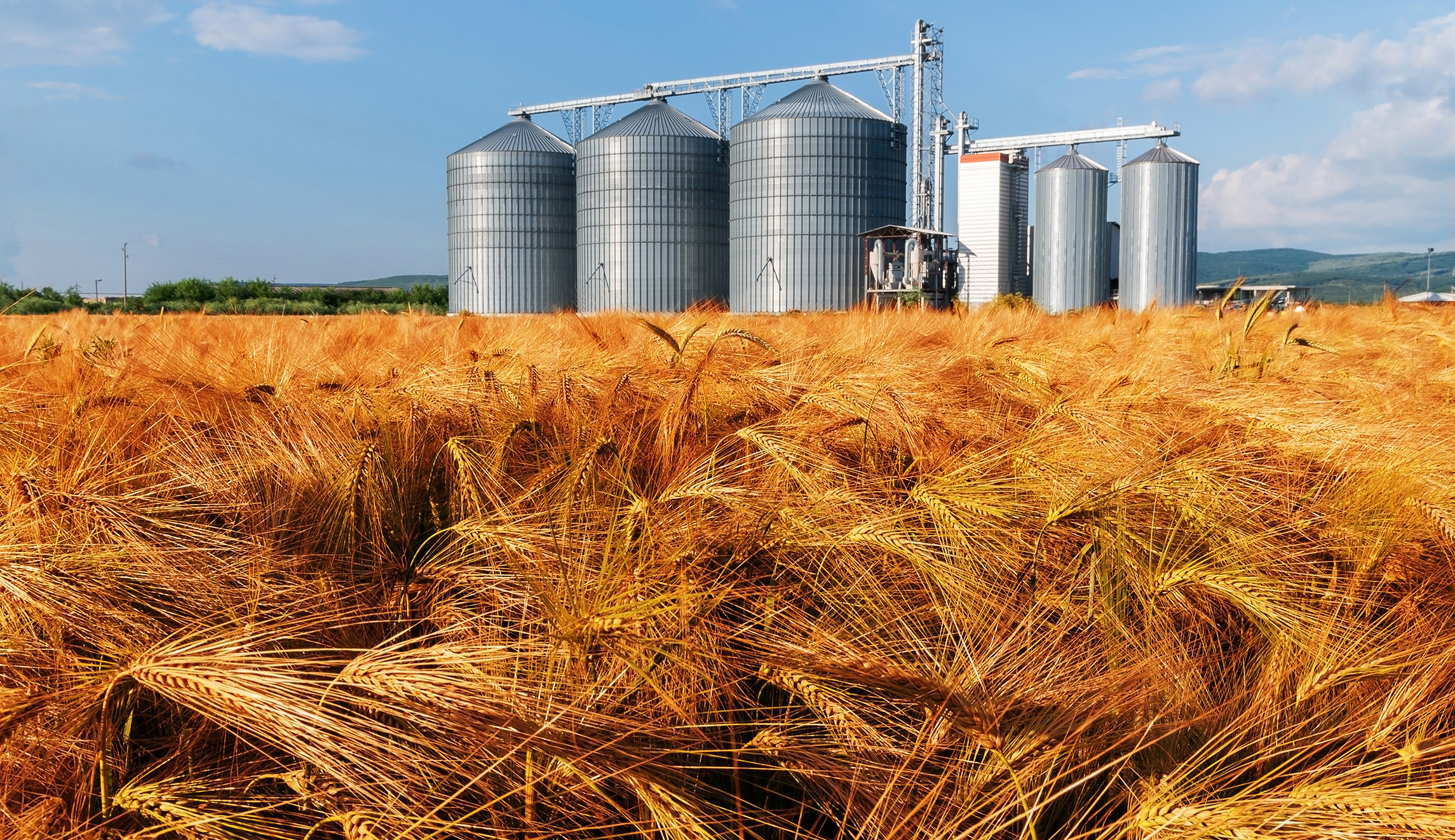 Hero Nebraska grain complex employee stops active shooting situation