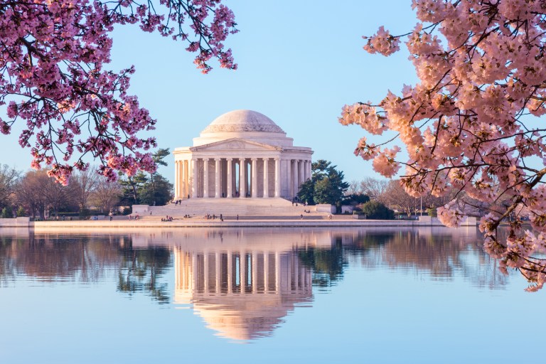 National Park Service to limit access to cherry blossoms in DC due to COVID-19