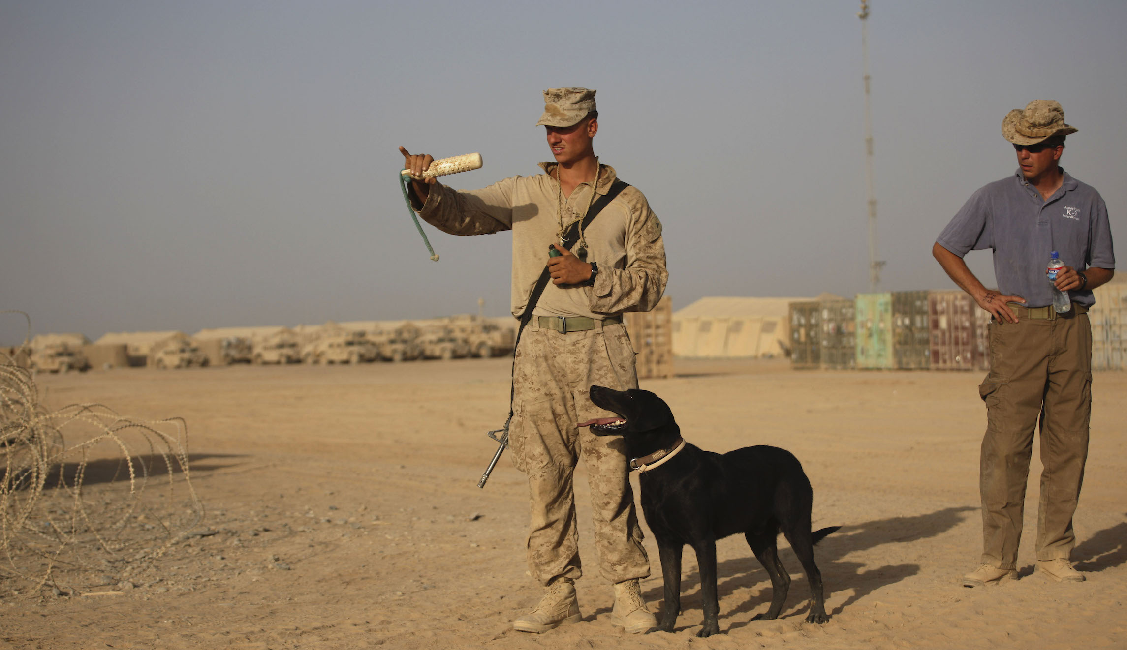 US stops sending bomb-sniffing dogs to Jordan and Egypt after mistreatment