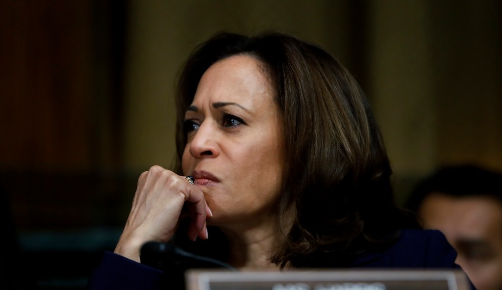 ‘Kamala the Cop’ is the perfect prosecutor for a bloodthirsty base