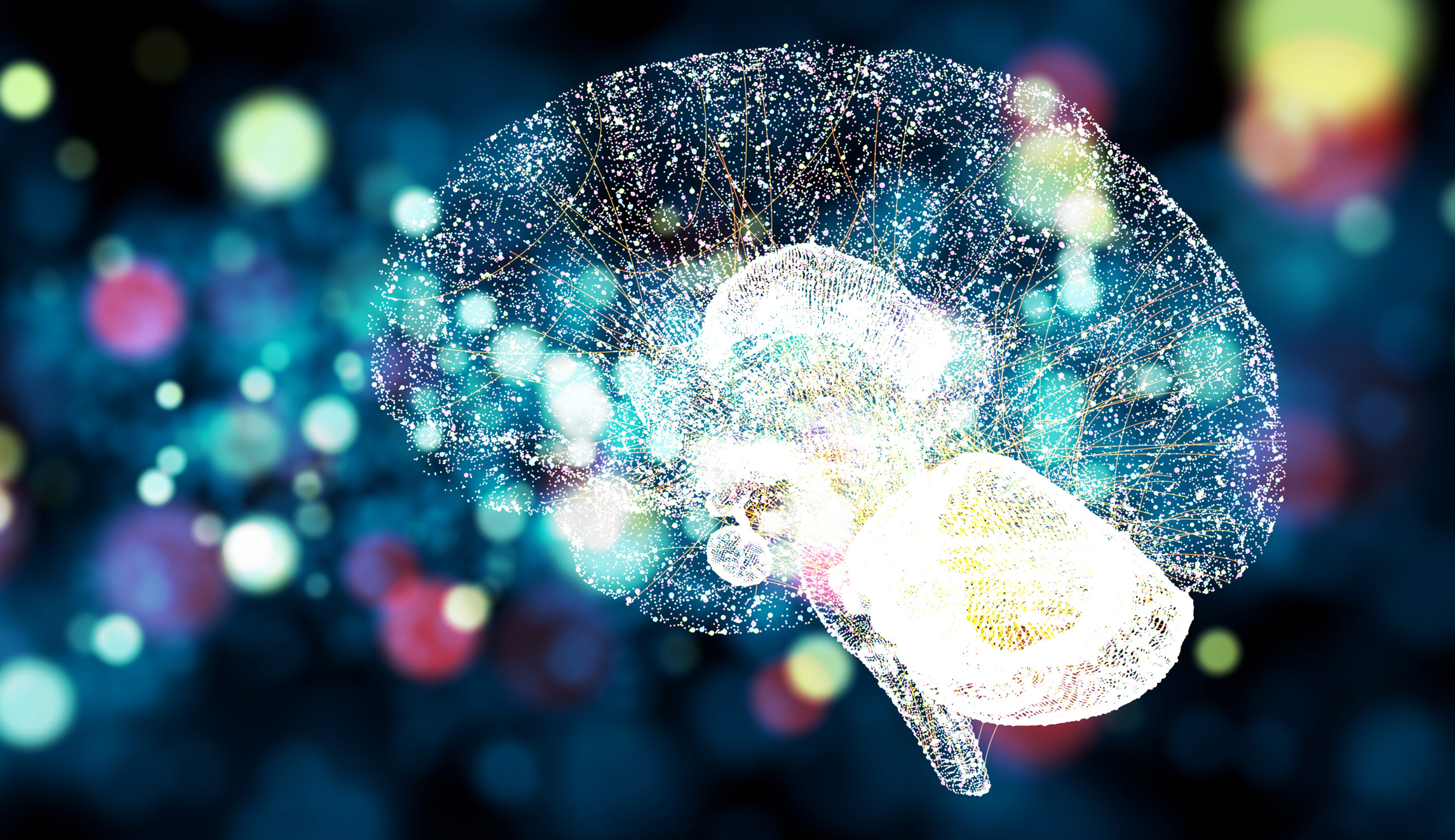 Technology makes Users of us all