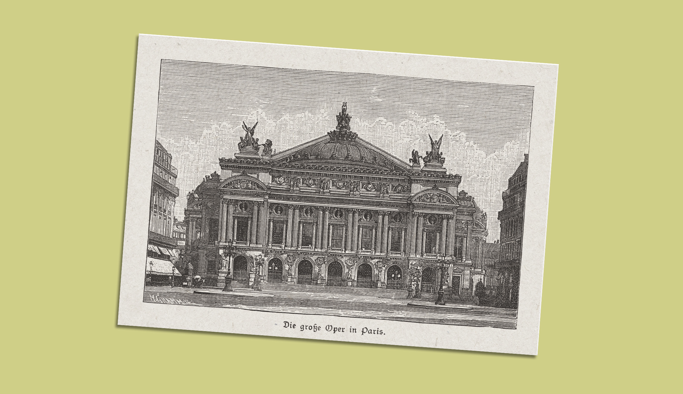 Postcard From: Santa Monica’s Moreton Bay fig