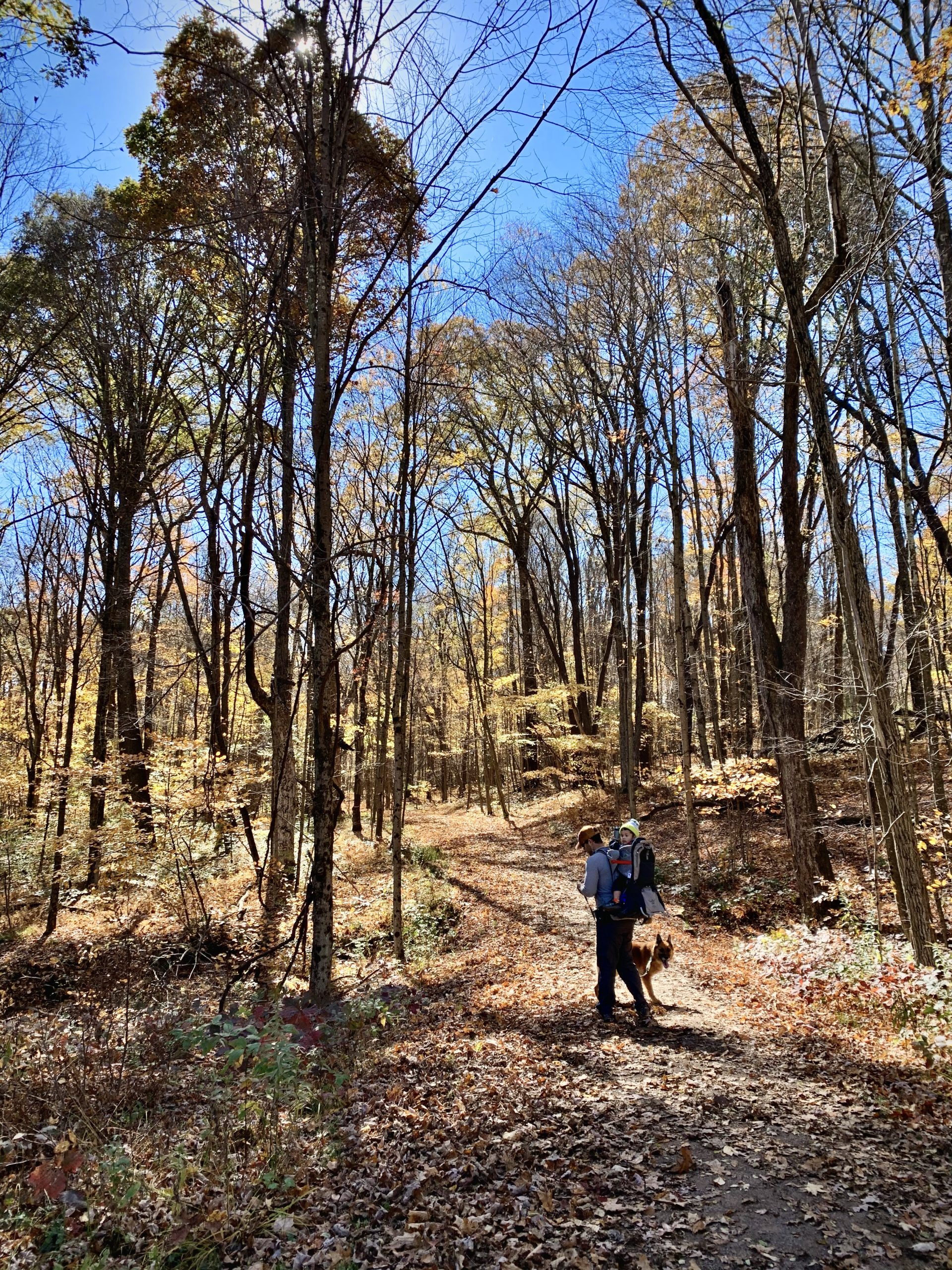 LAUREL HILL, Pa - Hikers enjoy the trail at Laurel Hill State Park.jpeg.jpeg