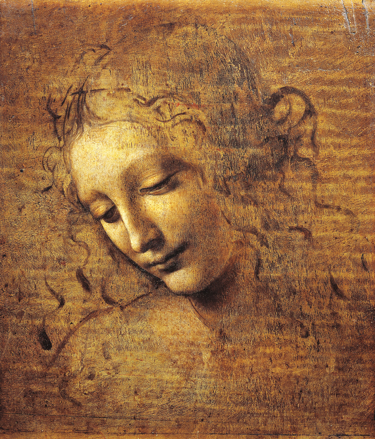 Leonardo’s ‘La Scapigliata’