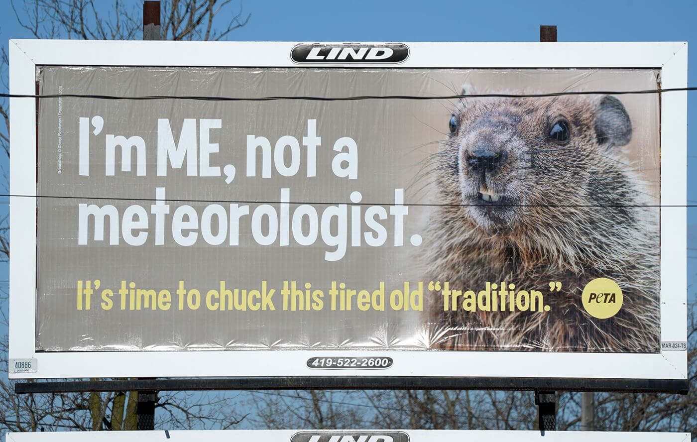 me-not-meteorologist-billboard-marion-ohio.jpg