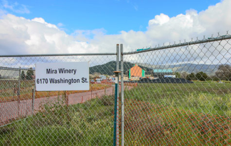 Mira-Update-April-sm-6-475x300.jpg
