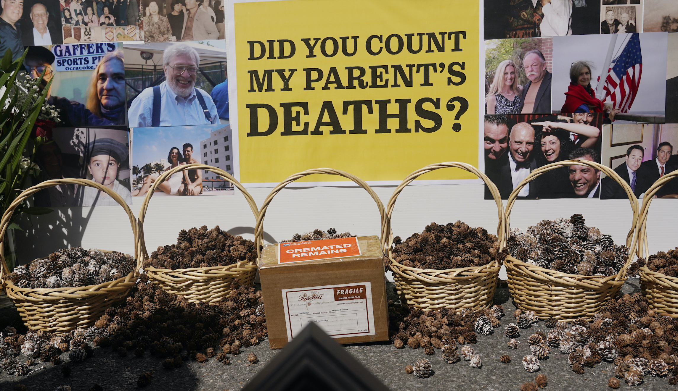 Virus Outbreak-Fatality Count