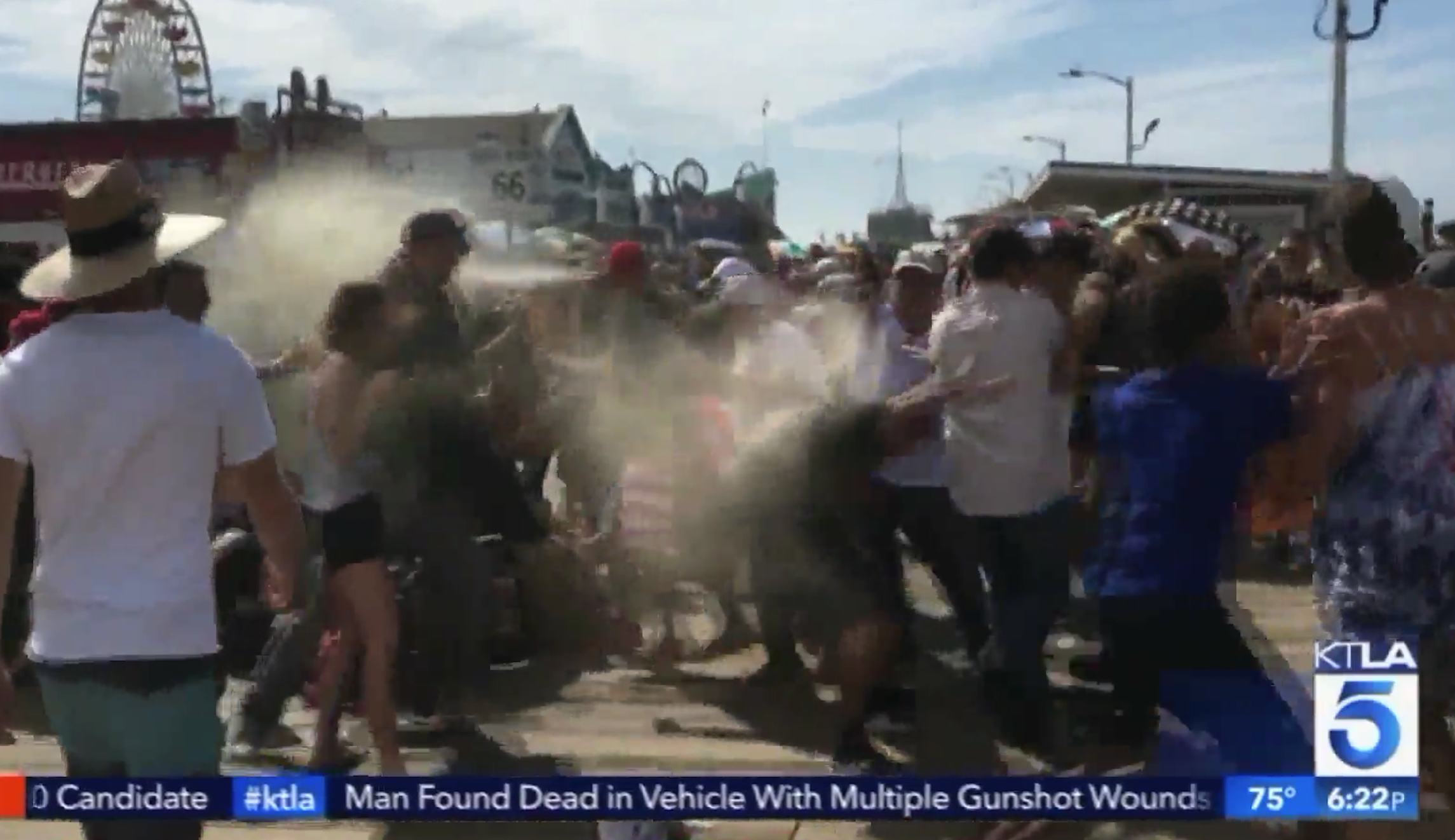 Man wearing MAGA hat arrested for dousing anti-Trump demonstrators with bear spray