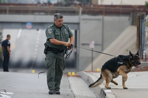 Police search for weapon