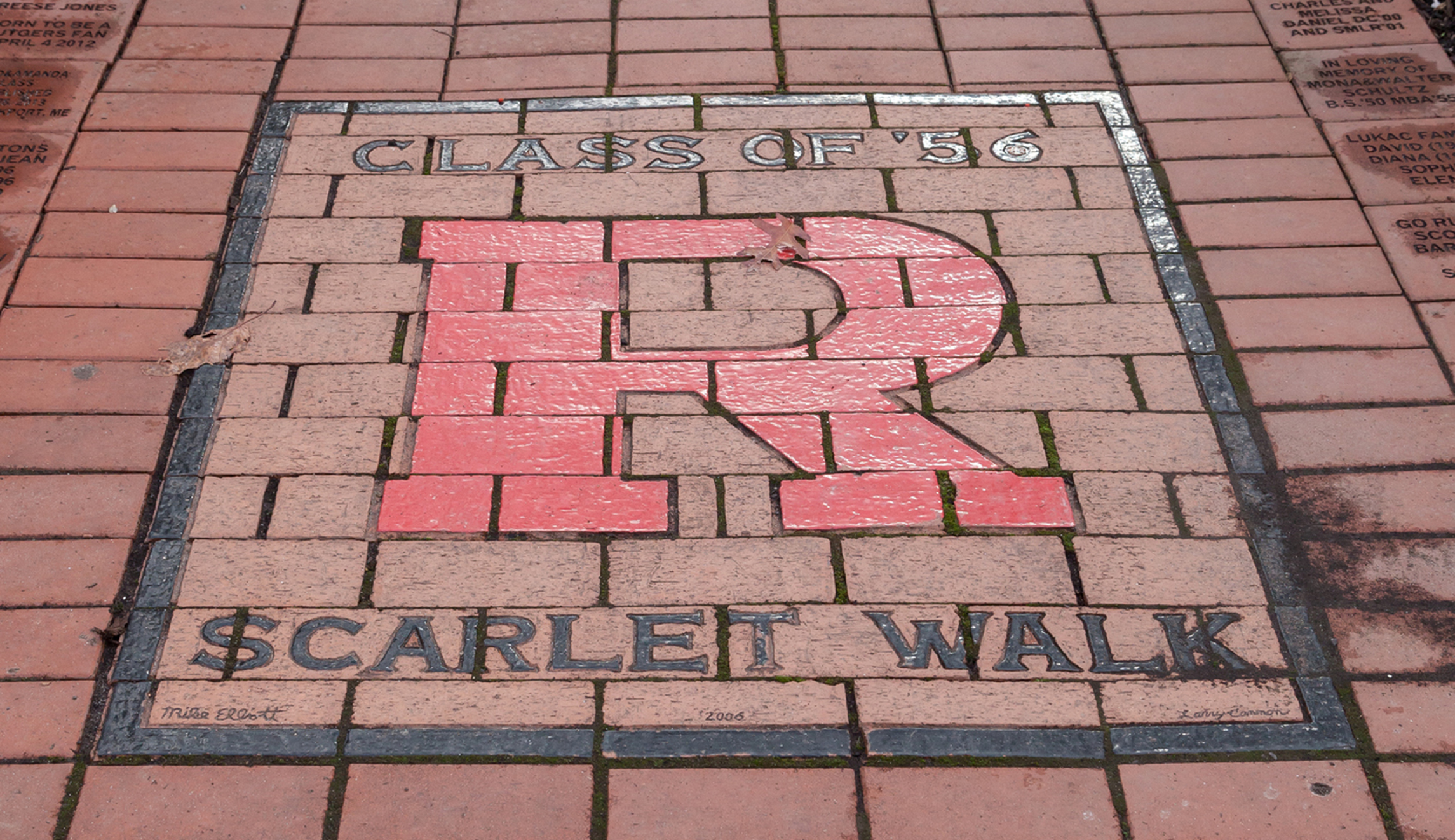 Mob rule of higher education benefits no one