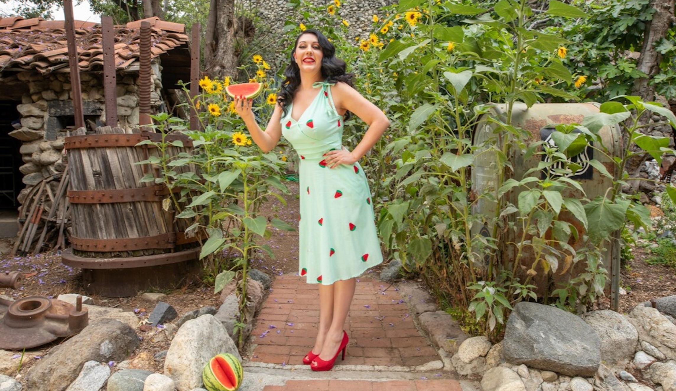 Sarah Sahutske Pin Ups.jpg
