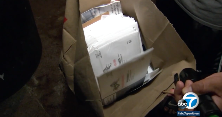 ‘I thought it was somebody playing a prank’: Man finds dozens of ballots in California trash