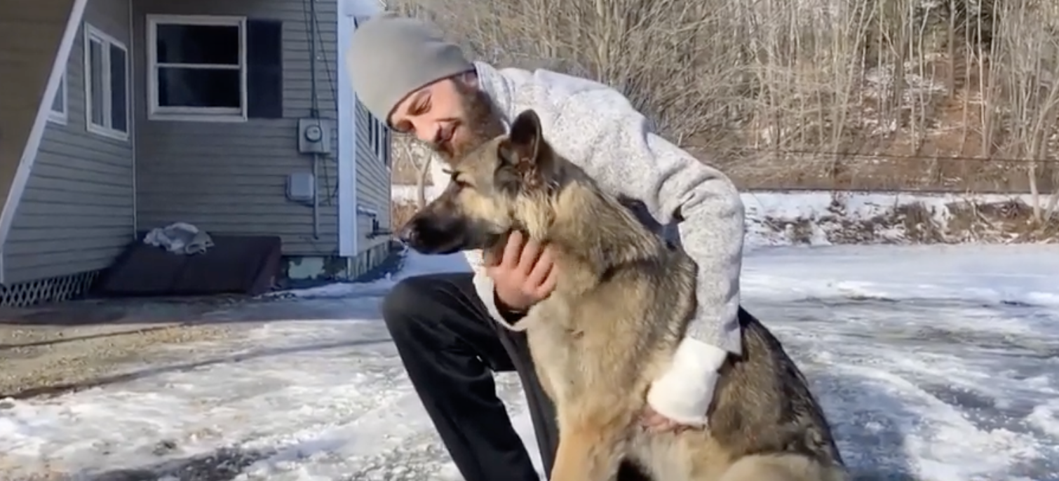 Hero dog leads New Hampshire police to scene of owner’s truck crash