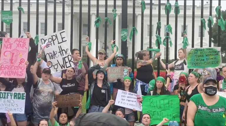 Women’s March: Abortion rights activists tie themselves to White House fence during protest