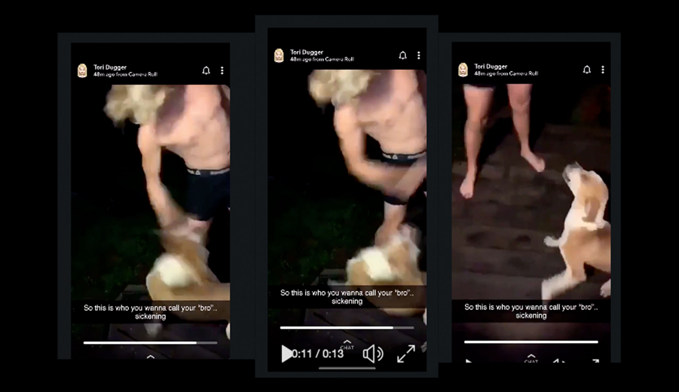 Three screenshots from social media show a man punching a dog in the face.