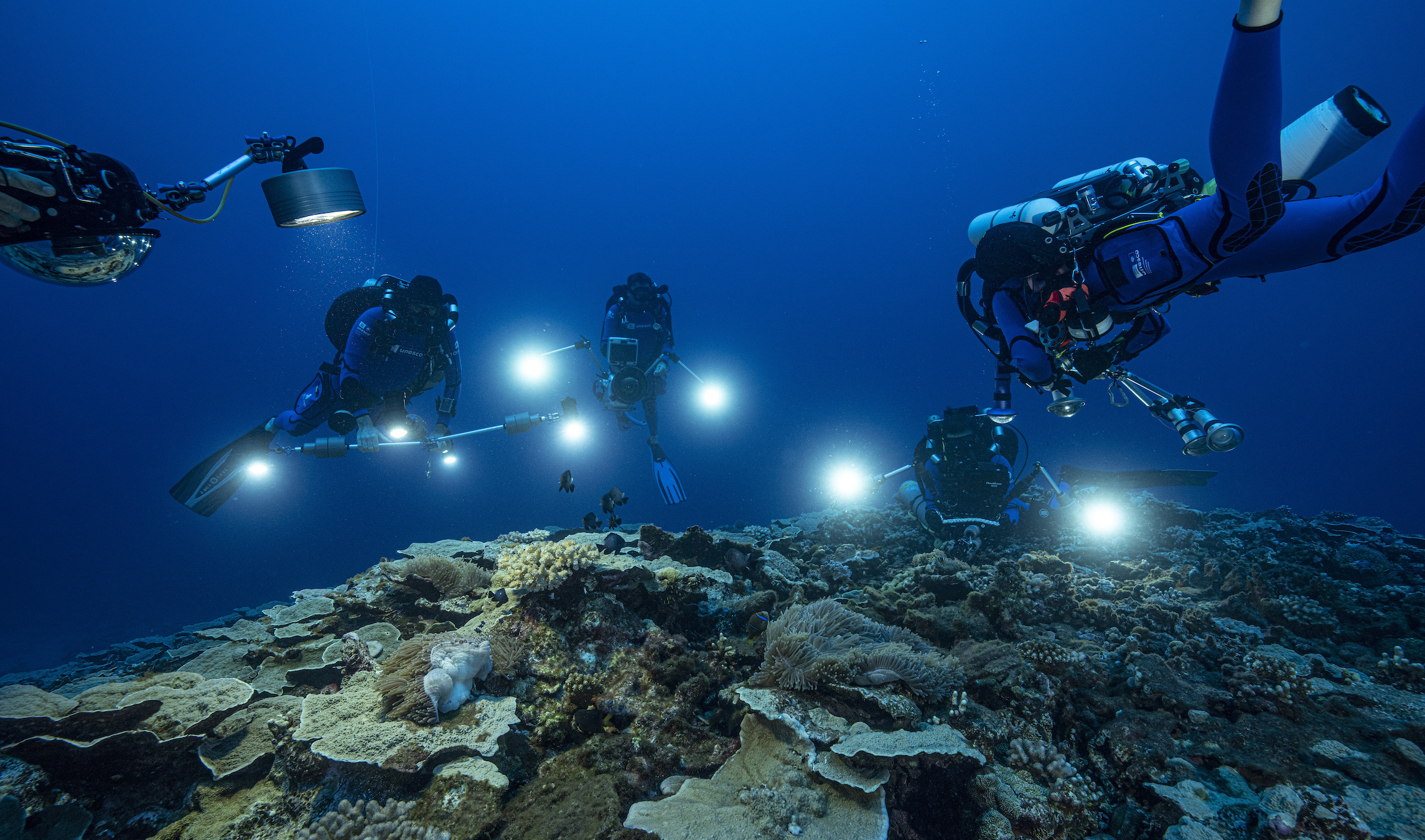 Scuba divers aim their lights at a reef in the Pacific Ocean near Tahiti.