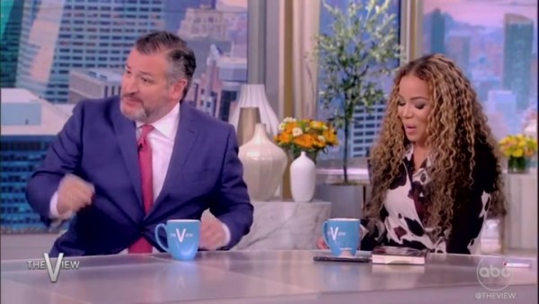 WATCH: Climate protesters interrupt Ted Cruz on live broadcast of The View