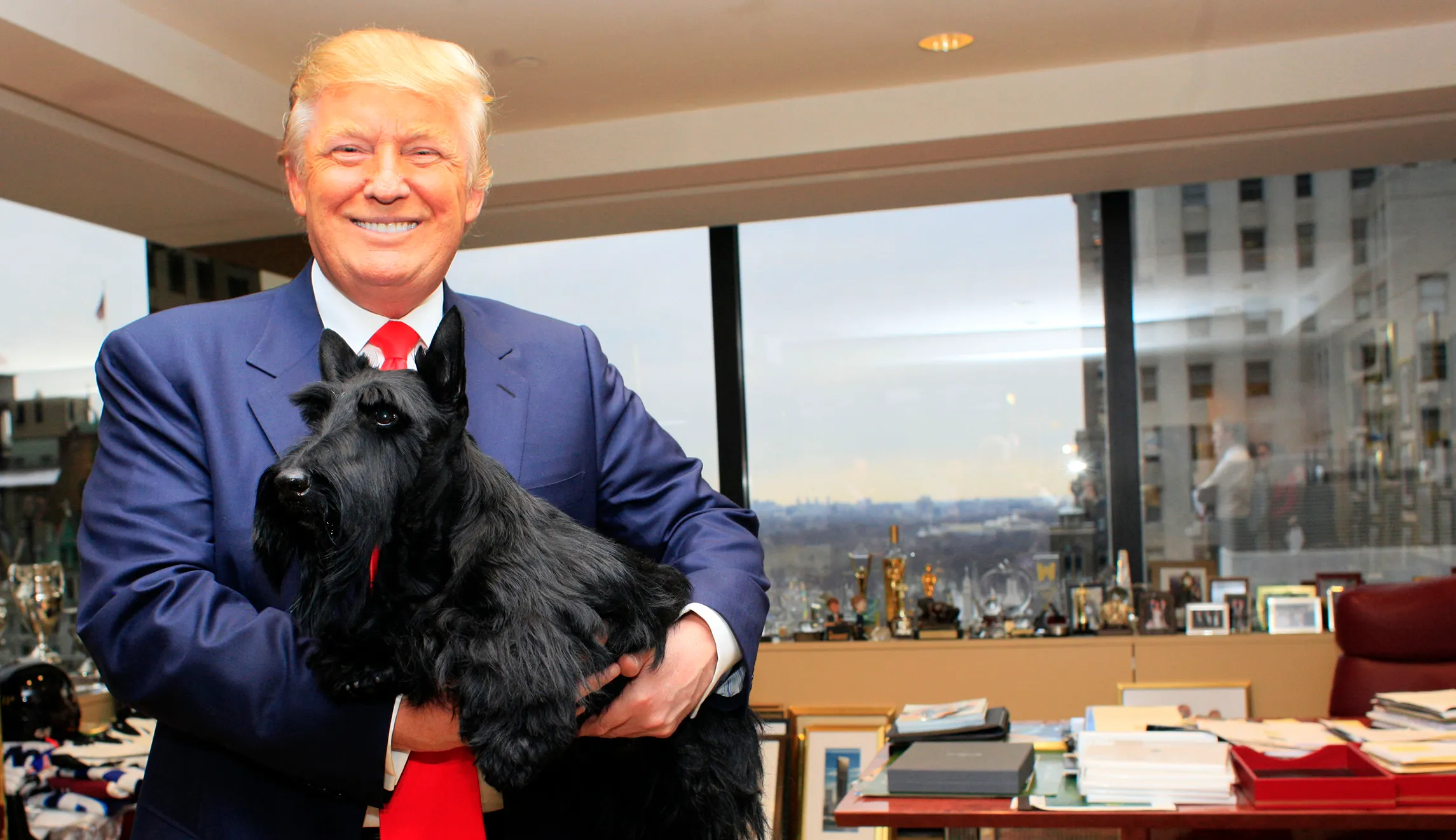 Woof: Trump’s tariffs are hurting us dogs