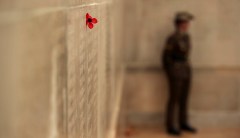 Amid your complaints, a reason to give thanks