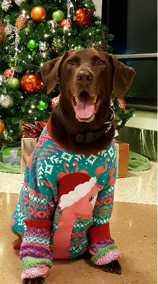 Xxylon is pictured at San Jose International Airport.