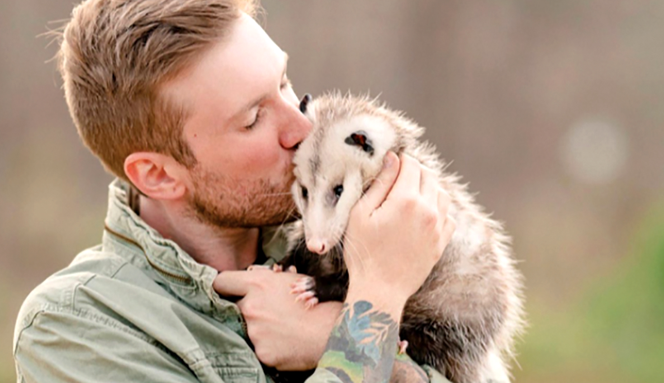 The opossum menace
