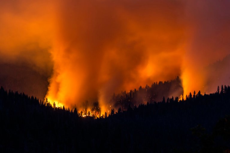 ‘Green’ federal policies creating tinderbox for Yosemite wildfire and others