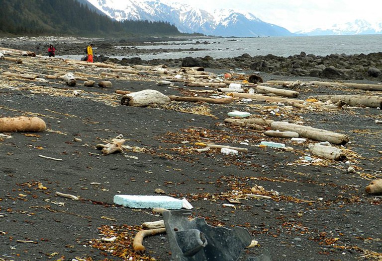   In this June 6, 2012 photo provided by Chris Pallister, debris is strewn across the shore of Montague Island near Seward, Alaska. More than a year after a tsunami devastated Japan, killing thousands of people and washing millions of tons of debris into the Pacific Ocean, neither the U.S. government nor some West Coast states have a clear plan for how to clean up the rubble that floats to American shores. (AP Photo/Chris Pallister)  