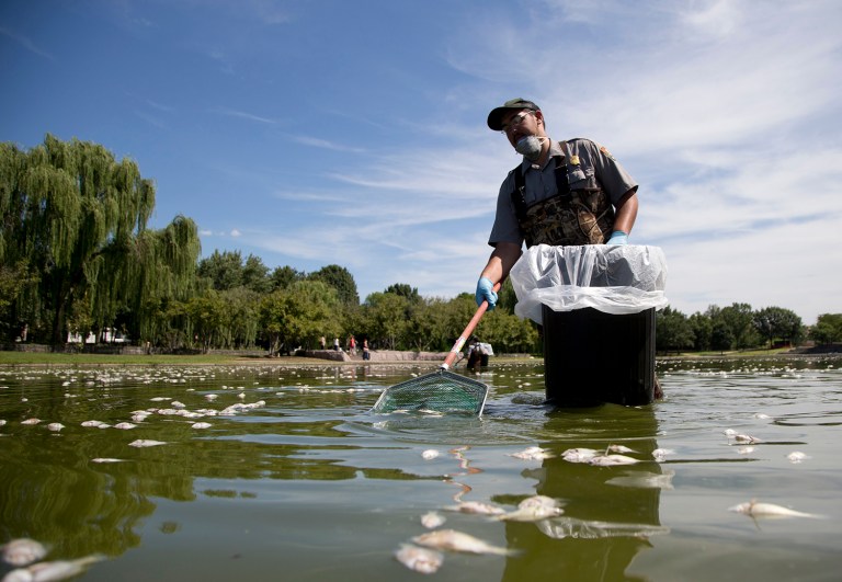 Park spokesman Mike Litterst said the last time a fish kill occurred was in 2013. (AP Photo/Carolyn Kaster)