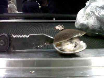 Man nabbed at Dulles with cocaine-stuffed clams