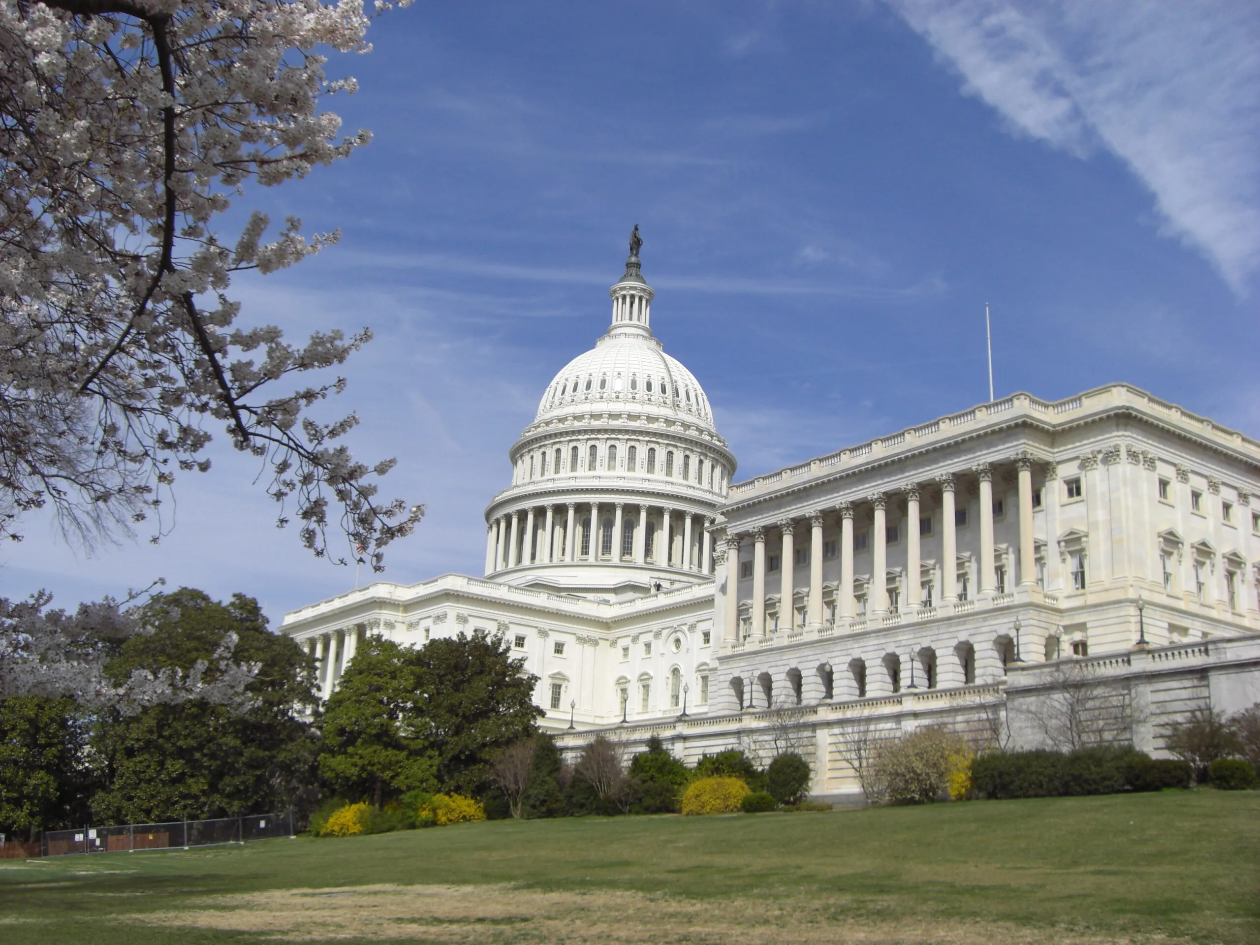 Aboard the Genetic-Testing Freakout Bandwagon