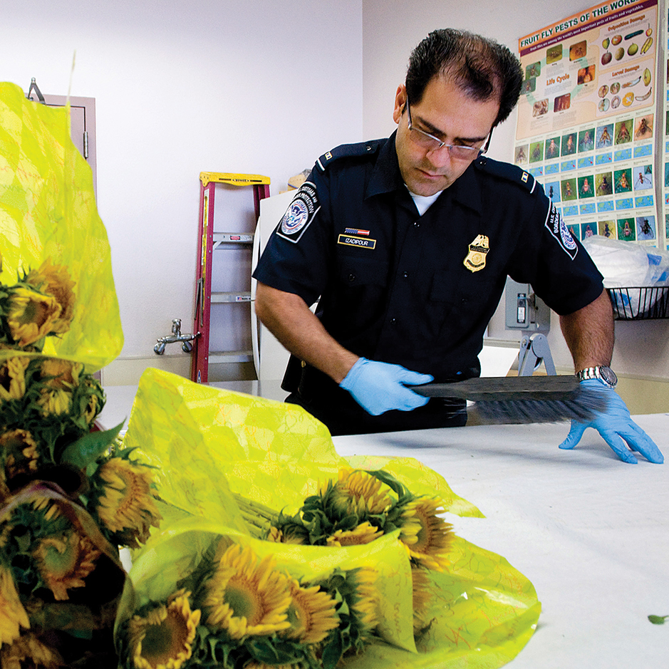 ‘Too Complicated’?