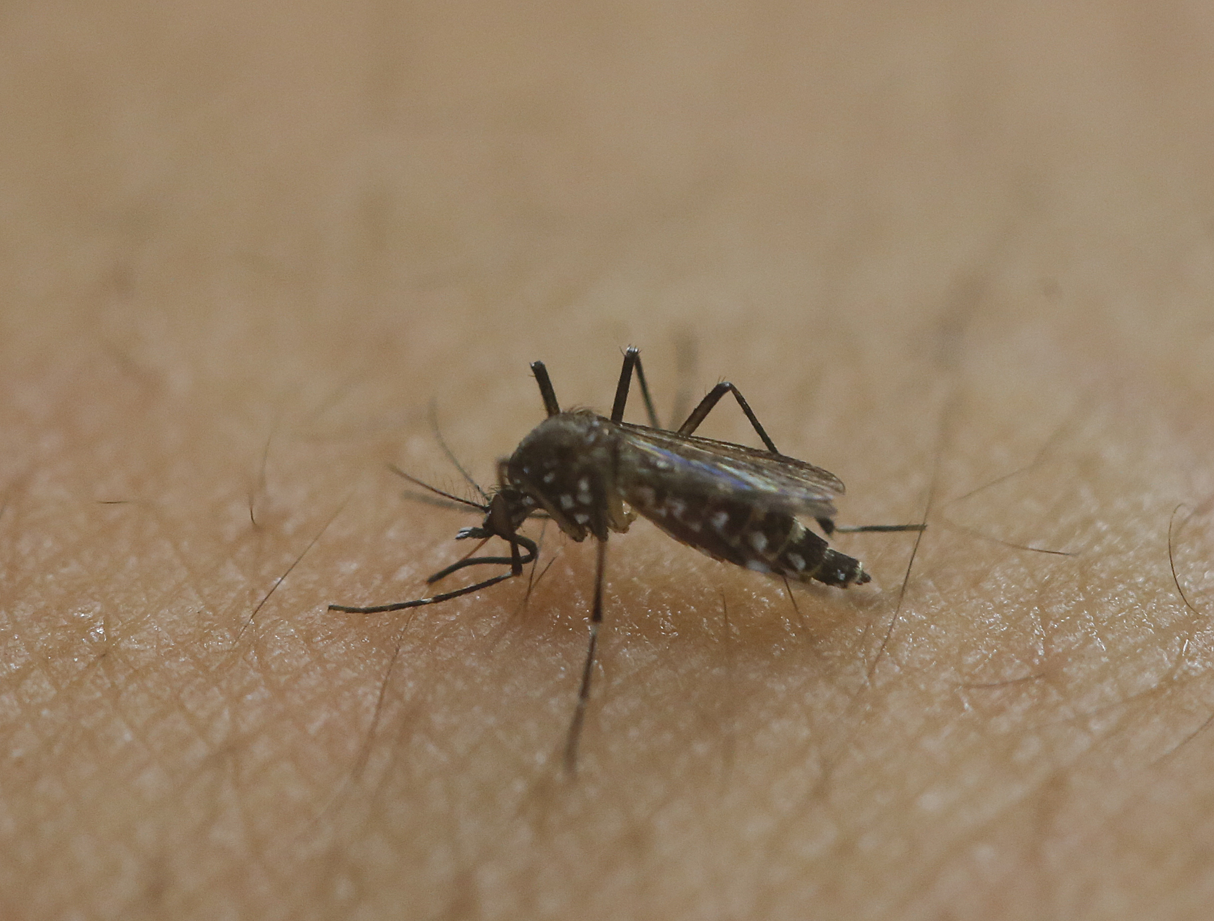 CDC warns of rapidly spreading virus in Americas