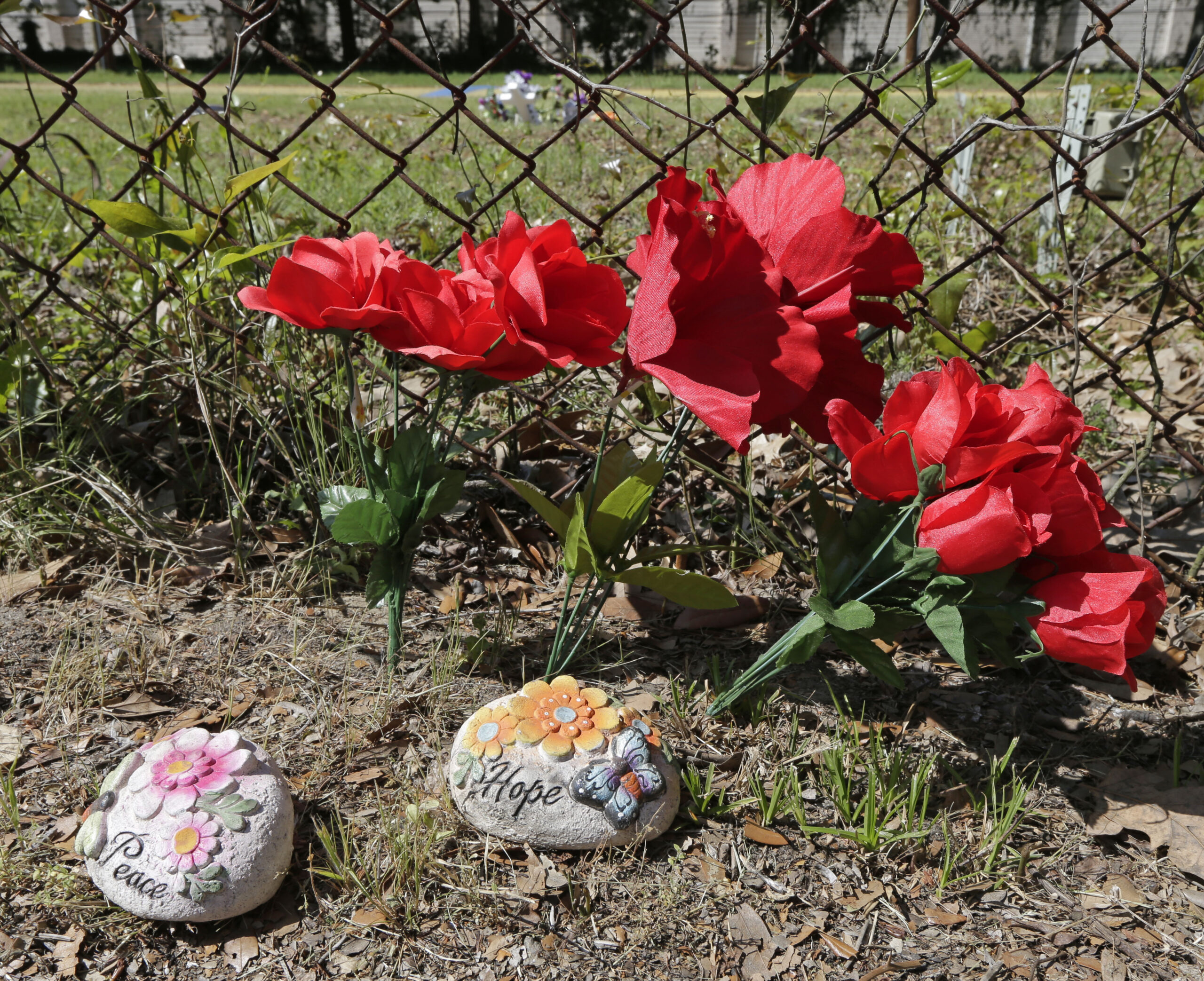 Race relations in America have never been better