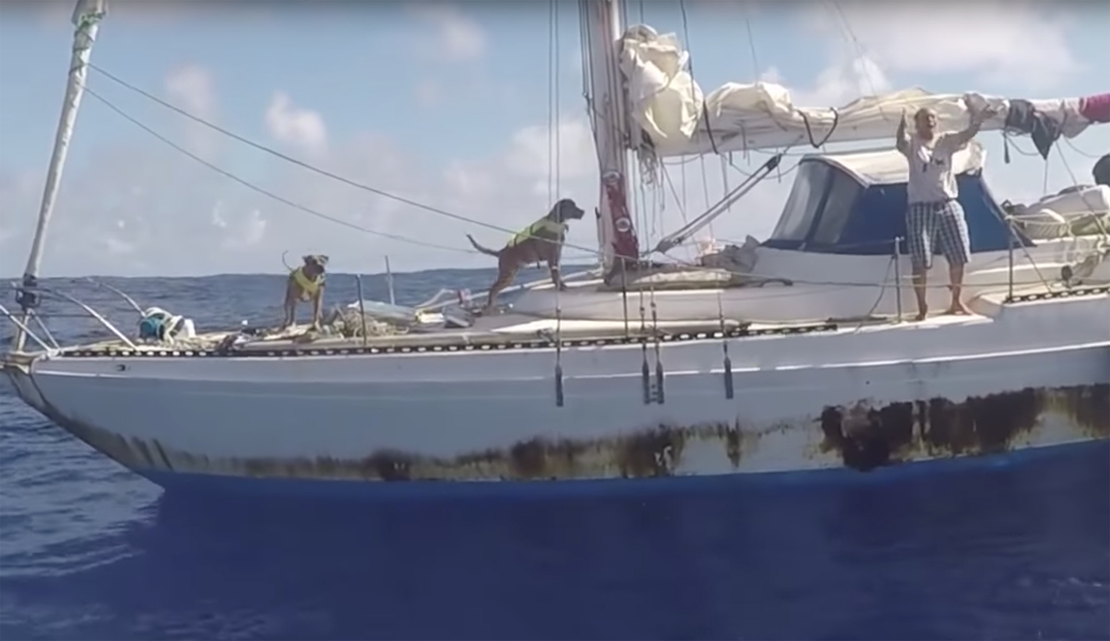 Navy saves two sailors and two dogs stranded at sea for almost three months
