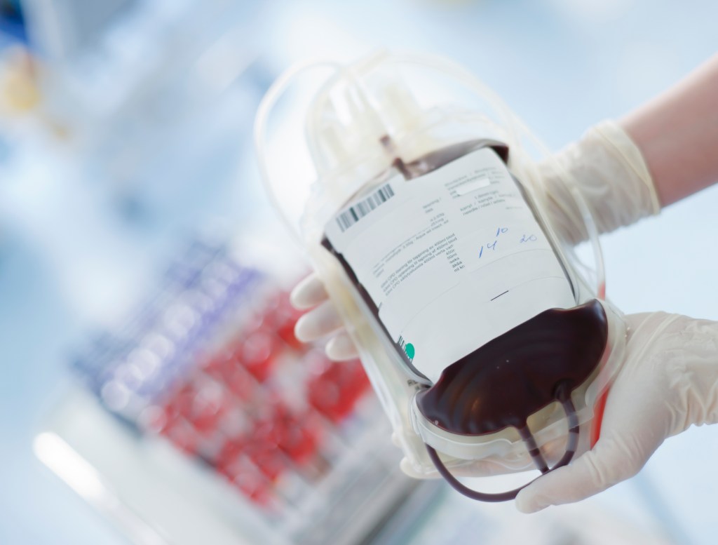 FDA mulls ending ban on gay men donating blood