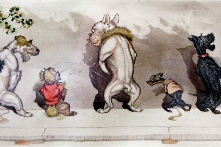 Un Chien Errant