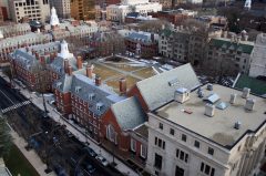 Admin Embroiled in Campus Chaos Steps Down