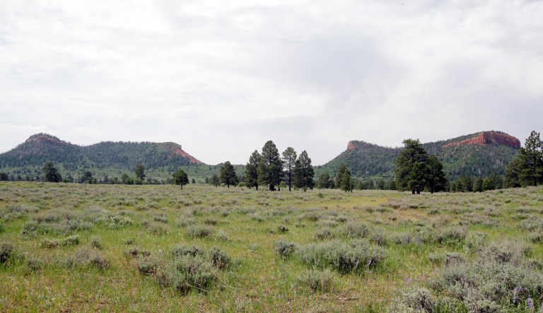 President Trump signed an executive order April 26 directing his interior secretary to review the designation of dozens of national monuments on federal lands, including Bears Ears National Monument, as he singled out 