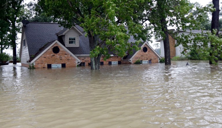 A University of Tampa professor tweeted his way to unemployment this week. As Hurricane Harvey ravaged southeast Texas on Sunday, University of Tampa Adjunct Sociology Professor Ken Storey, safe in central Florida, had a remarkably mean-spirited take on the tragedy. (AP Photo/David J. Phillip)