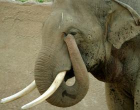 Republicans Brought Their A-Game to Summit… Say the Media?