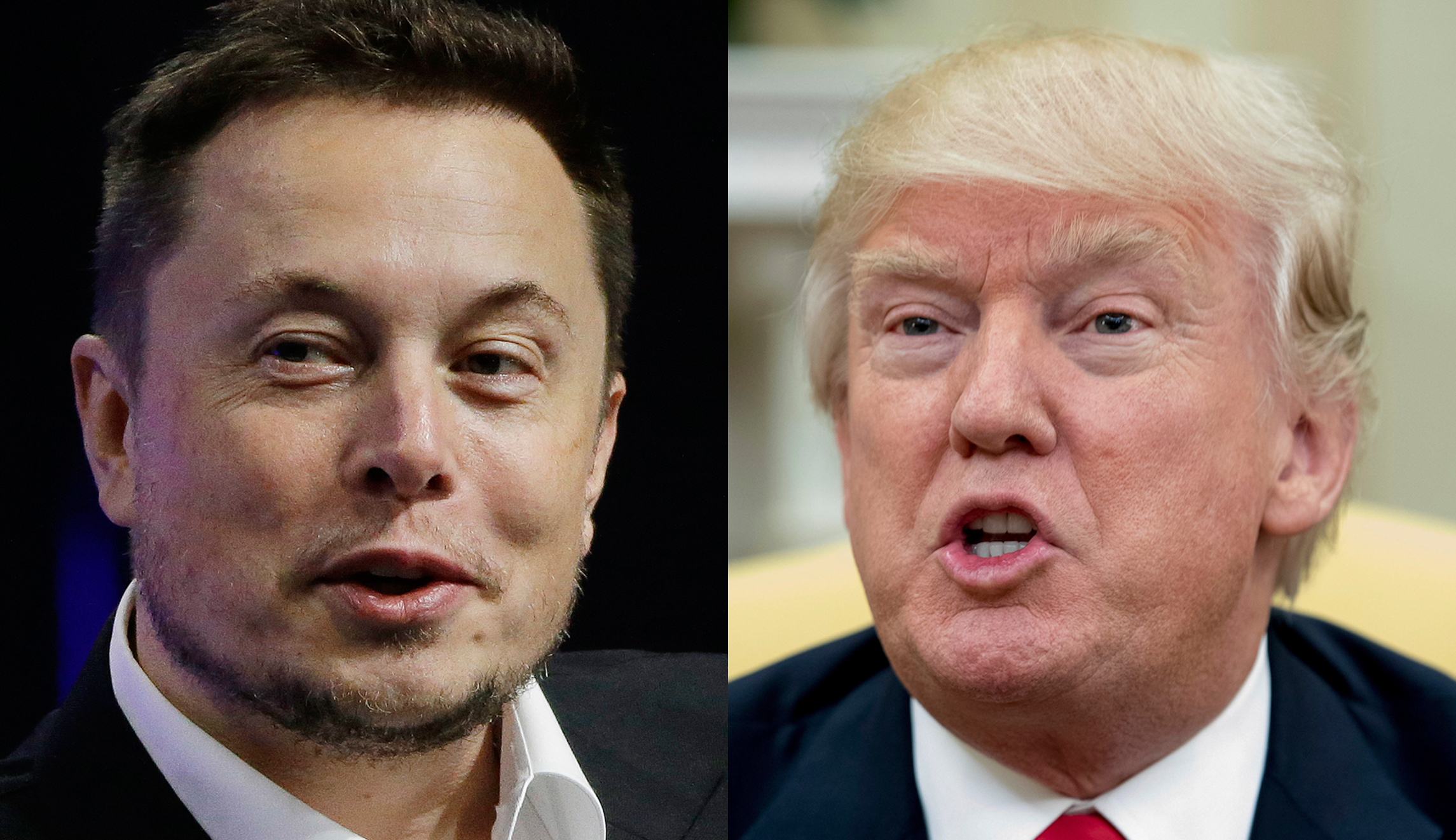 Elon Musk agrees with Trump on China’s car tariffs