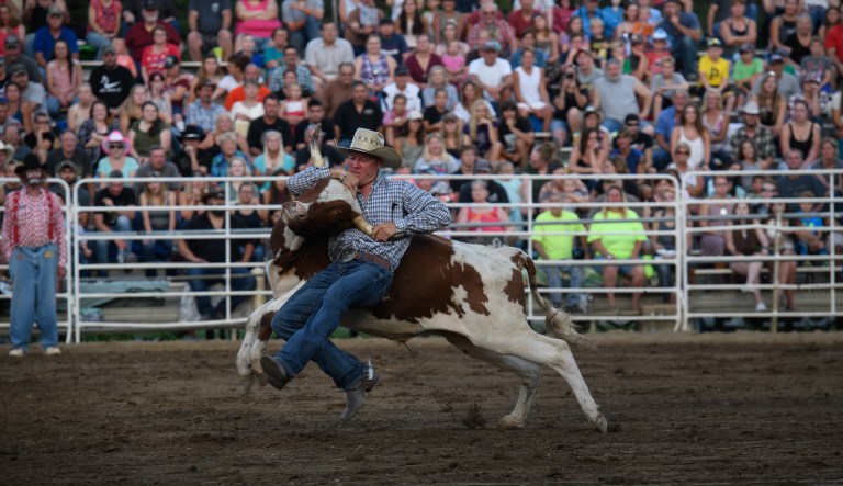 FORD CITY, Pa. â  A cowboy battles a steer in the steer wrestling competition at the Fort Armstrong Championship Rodeo at the Crooked Creek Horse Park.