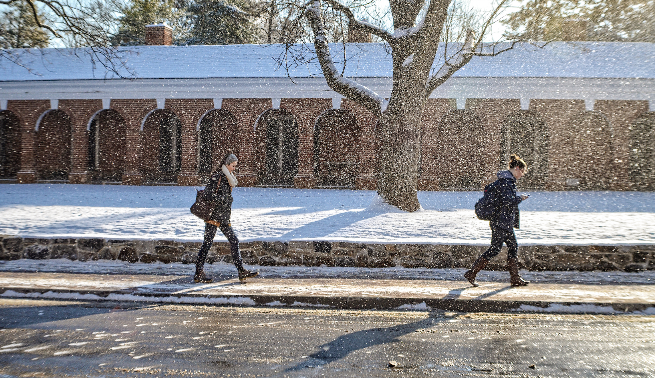 The origins of college snowflakes