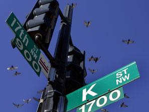 How many seats does K St. have on supercommittee?