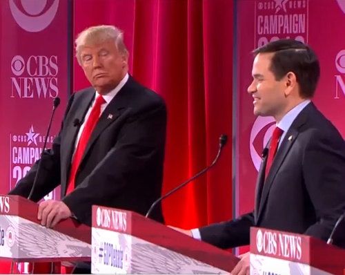 Cockfight in South Carolina