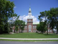 A Campus Novel for the Age of Identity Politics