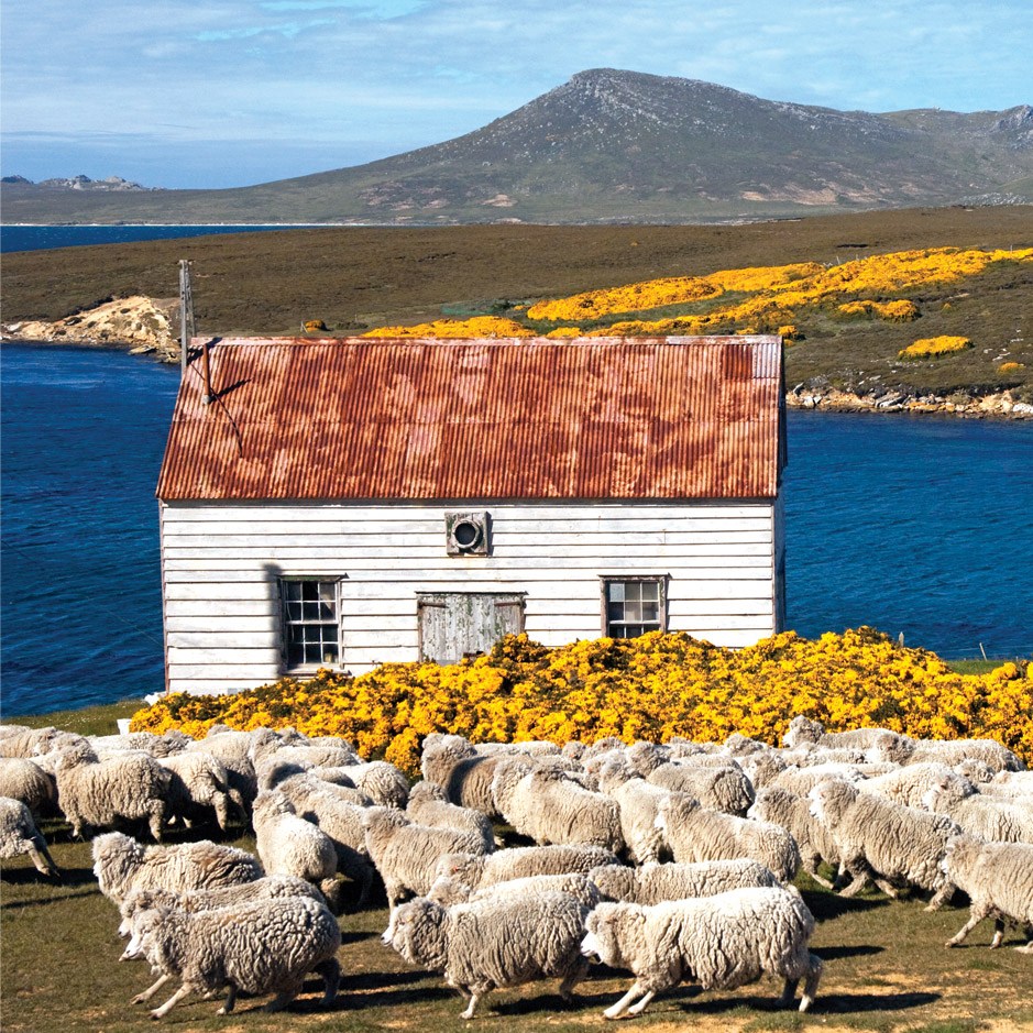 Stand with the Falklands