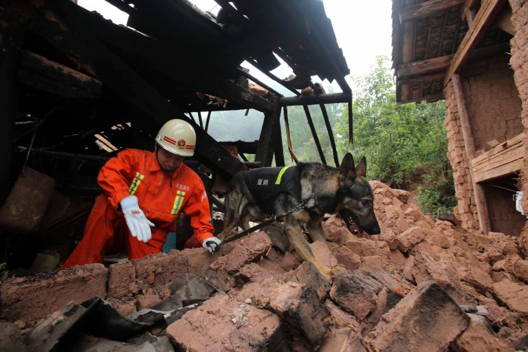 A rescue worker and a sniffer dog search for victims in the aftermath of a quake in Pojiao village of Jinggu county in southwest China's Yunnan province Wednesday Oct. 8, 2014. A strong, shallow earthquake with a magnitude of at least 6.0 shook southwestern China overnight, killing at least one person, damaging buildings and prompting thousands to camp outside as aftershocks continued to strike the area, officials said Wednesday. (AP Photo) CHINA OUT