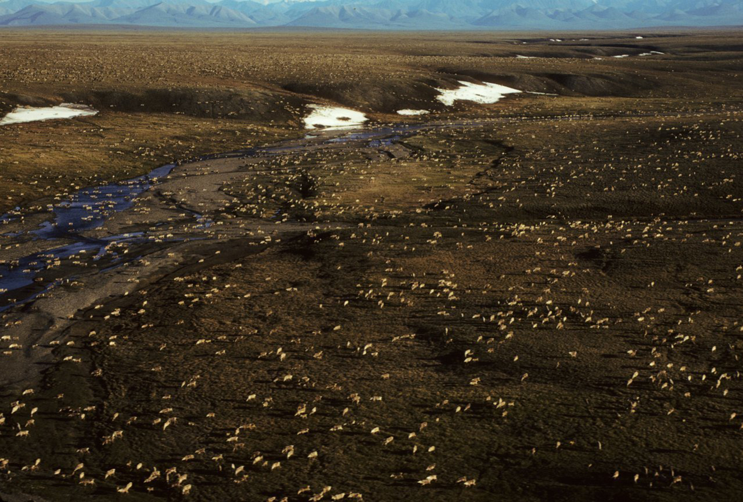 Interior budget shuffles funds to boost energy, parks